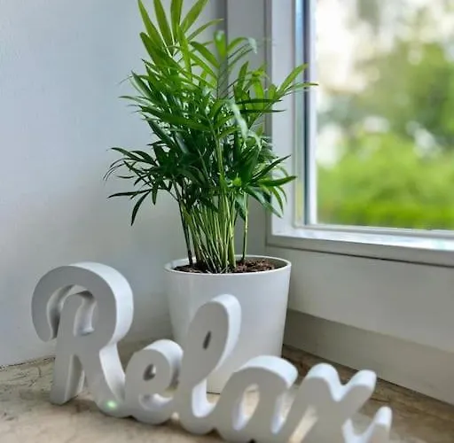 Bloom - Klein Und Fein Mit Seezugang U Wlan Appartement *